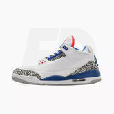JORDAN 3s TRUE BLUE